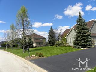 Terrace Lakes subdivision in Algonquin, IL