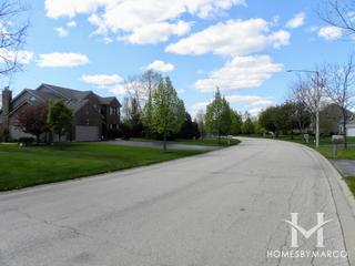 Terrace Lakes subdivision in Algonquin, IL
