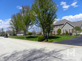 Terrace Lakes subdivision in Algonquin, IL