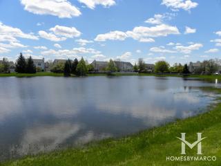 Prestwicke subdivision in Algonquin, IL