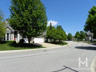 Highlands of Algonquin