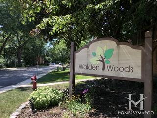Photos of Walden Woods subdivision in Aurora, IL