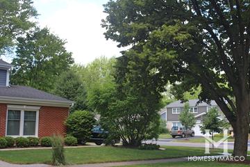Georgetown Manor subdivision in Arlington Heights, IL