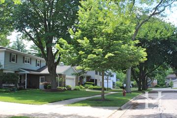 Georgetown Manor subdivision in Arlington Heights, IL