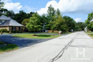 Oak Spring Woods subdivision in Libertyville, IL