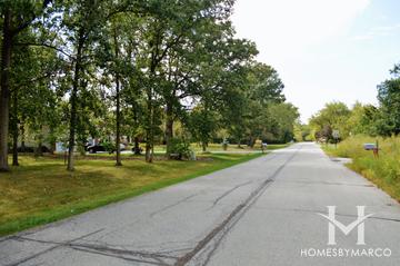 Oak Spring Woods subdivision in Libertyville, IL