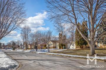 Tiburon subdivision in Arlington Heights, IL