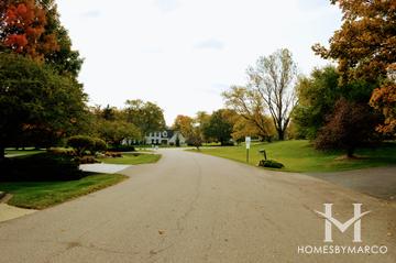 Photos of Meadows Of Kildeer subdivision in Kildeer, IL