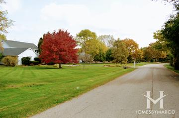 Meadows Of Kildeer subdivision in Kildeer, IL