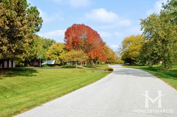 Meadows Of Kildeer subdivision in Kildeer, IL