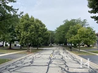 Photos of Maplebrook Estates subdivision in Bolingbrook, IL