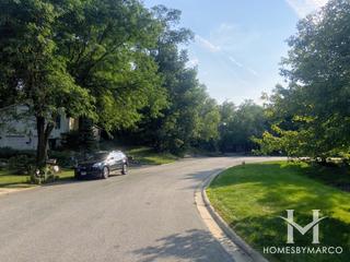 St Andrews Woods subdivision in Bolingbrook, IL