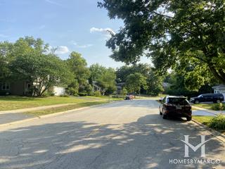 Photos of Deerpath Woods subdivision in Bolingbrook, IL