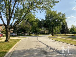 Falconridge subdivision in Bolingbrook, IL