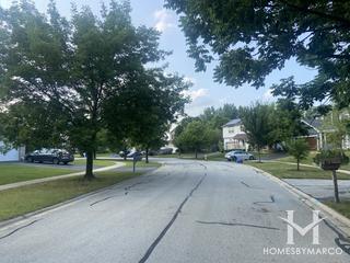 Meadows Of Williams Glen
