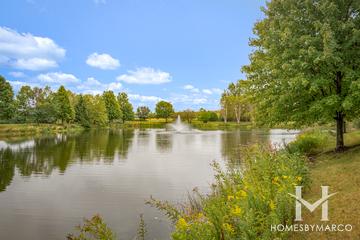 Village Station subdivision in Grayslake, IL