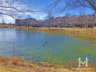 Village Station subdivision in Grayslake, IL