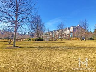 Village Station subdivision in Grayslake, IL