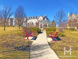 Village Station subdivision in Grayslake, IL