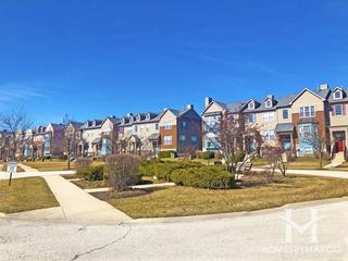 Village Station subdivision in Grayslake, IL