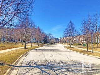 Village Station subdivision in Grayslake, IL