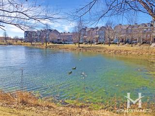 Village Station subdivision in Grayslake, IL