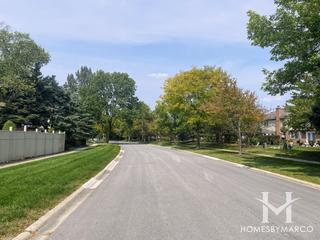 Water Tower Courts subdivision in Darien, IL