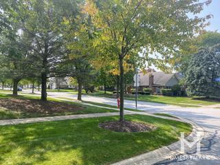 Water Tower Courts subdivision in Darien, IL