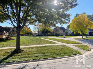 Tara Hill subdivision in Darien, IL