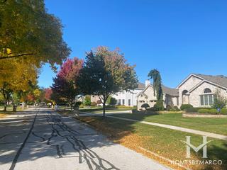 Tara Hill subdivision in Darien, IL