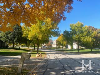 Tara Hill subdivision in Darien, IL