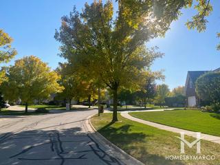 Tara Hill subdivision in Darien, IL
