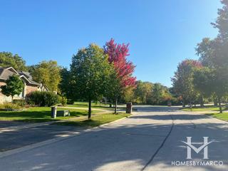 Darien Woods subdivision in Darien, IL