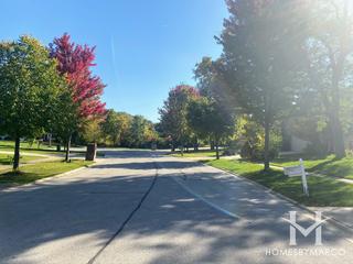 Darien Woods subdivision in Darien, IL