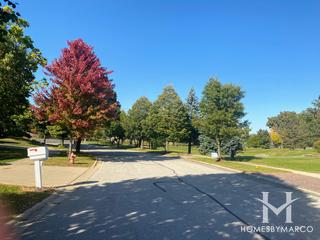 Darien Woods subdivision in Darien, IL