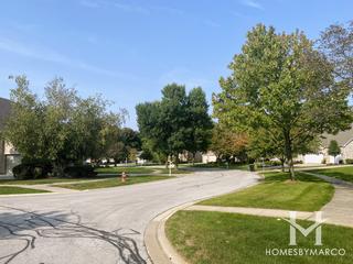 Darien Club subdivision in Darien, IL