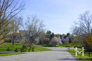 Oak Ridge North subdivision in Barrington, IL