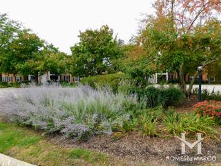 Shorely Woods subdivision in Barrington, IL