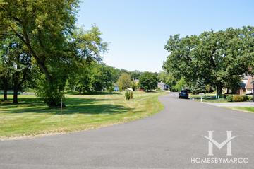Paganica subdivision in Barrington Hills, IL