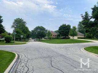 Burr Oaks Glen South subdivision in Burr Ridge, IL