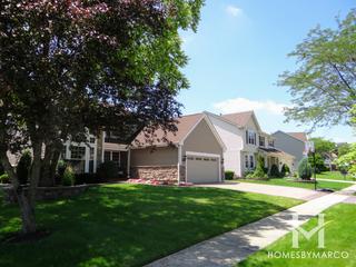 Shenandoah Valley subdivision in Carol Stream, IL