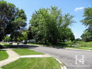 Shenandoah Valley subdivision in Carol Stream, IL