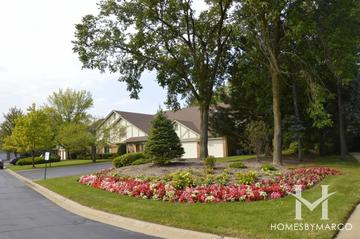 Manor Homes Of Deerfield subdivision in Deerfield, IL