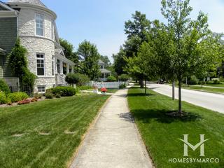 Cherry Farm subdivision in Elmhurst, IL