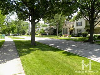 Cherry Farm subdivision in Elmhurst, IL