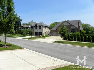 Cherry Farm subdivision in Elmhurst, IL