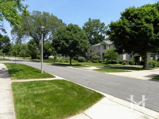 Cherry Farm subdivision in Elmhurst, IL