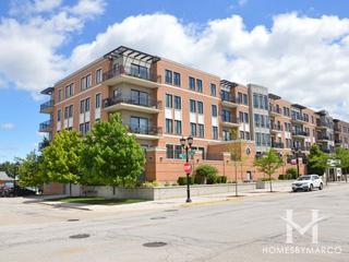 Crescent Court building in Elmhurst, IL