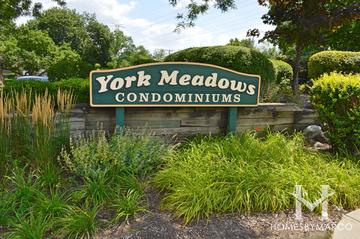 York Meadows