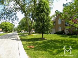 Yorkfield subdivision in Elmhurst, IL